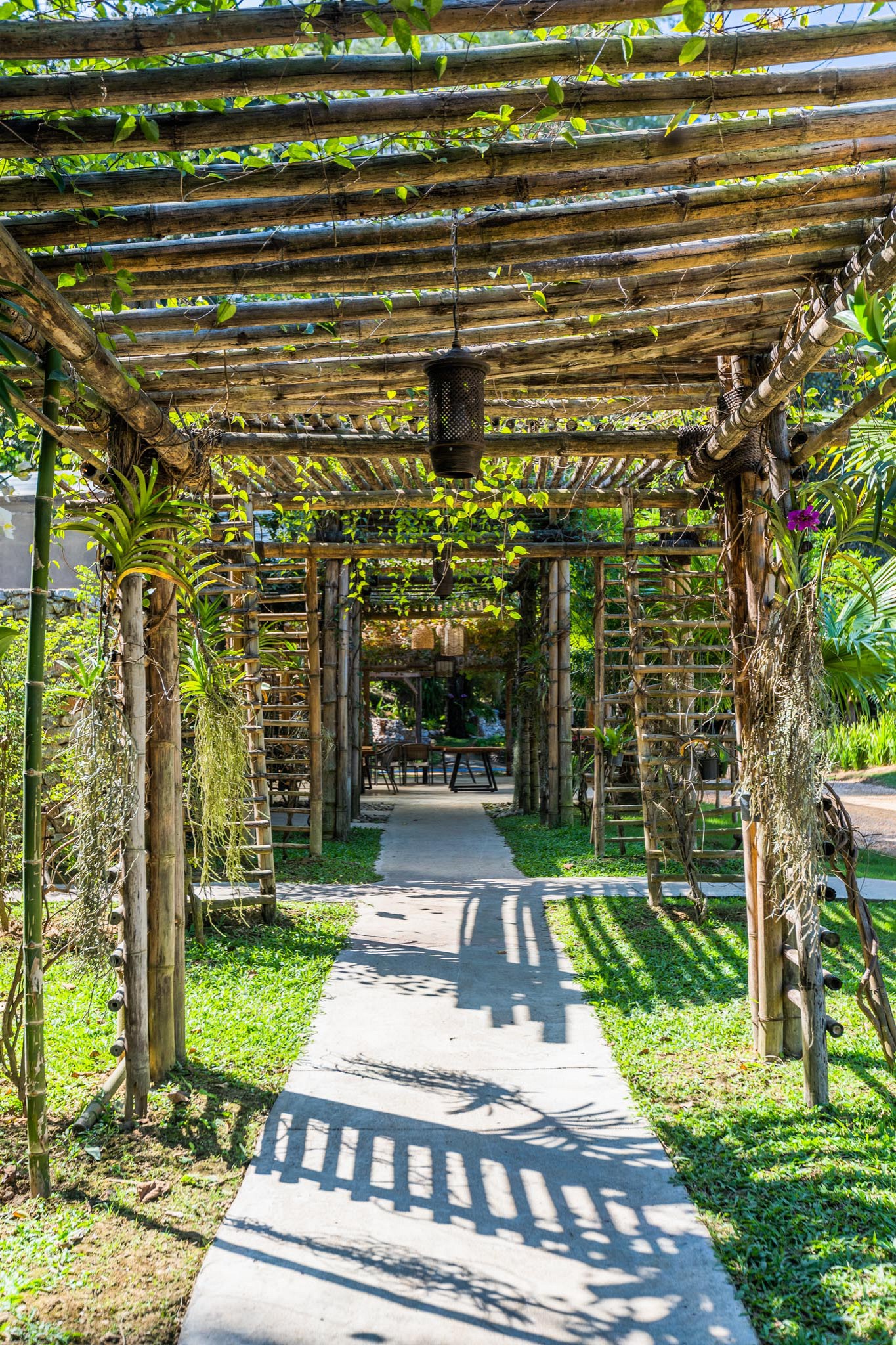 Photo <label>Gallery</label>